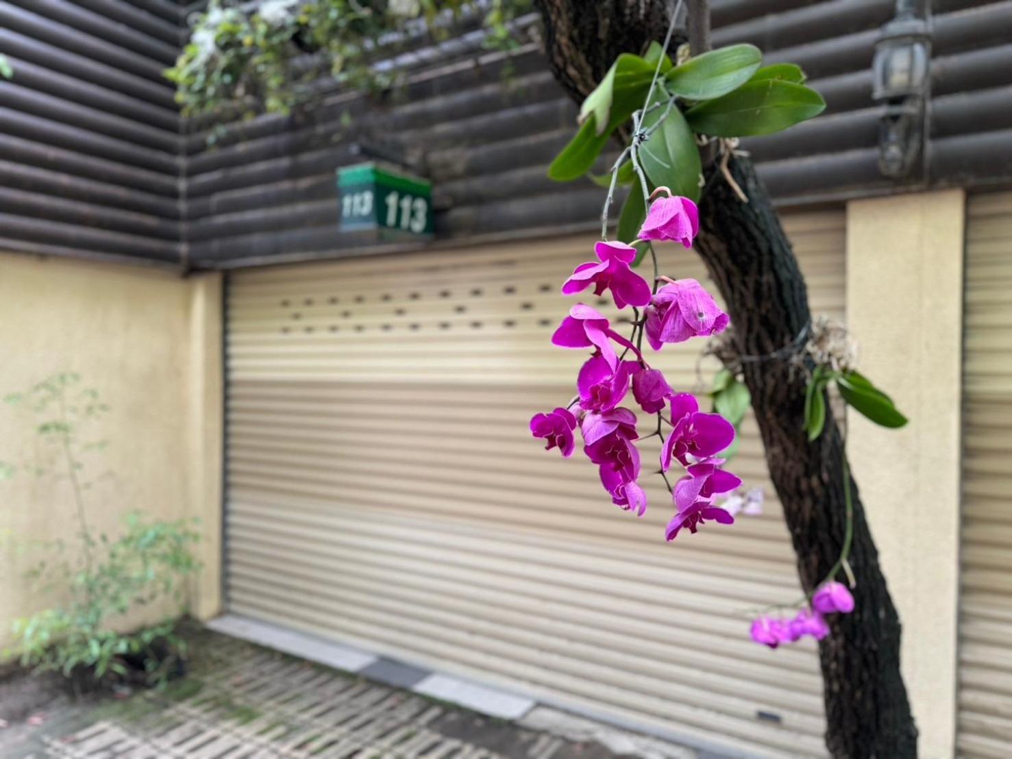 Ivy Motel Chiayi Exterior foto